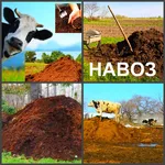 Ярослав:  Навоз Воронеж, доставка навоза в Воронеже