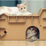Людмила:  Передержка кошек