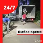 Даниил:  Вывоз мусора/хлама/старой мебели  с Грузчиками 