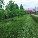 GrassCut:  Покос травы триммером по низкой цене за сотку Тюмень.