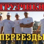 Михаил:  Переезды/Грузчики недорого