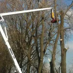 Василий РАСЧИСТКА УЧАСТКА:  Спил аварийных деревьев 