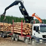 Владимир:  Работа для лесовозов
