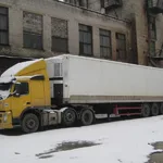 Алина:  Переезды по России и странам СНГ 