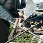 Дмитрий:  Земляные работы. Демонтаж. 