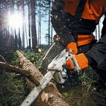дмитрий:  Спил деревьев. Корчевание пней. Кронирование деревьев.