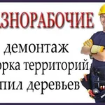 Константин:  Расчистка территории.Спил Деревьев. Демонтажные работы. 
