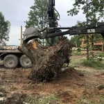 Денис:  Корчевание пней трактором