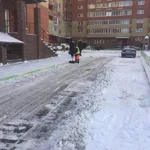 Николай:  Уборка территории 