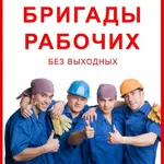 Александр:  Грузчики