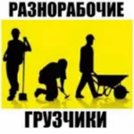 Сергей:  Грузчики Разнорабочие.