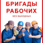 Игорь:  Разнорабочие/грузчики