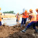 Александр:  Услуги разнорабочих