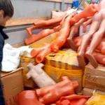 Евгений грузоперевозки:  Грузчики на час недорого
