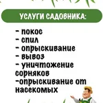 Геннадий:  Покос, спил, опрыскивание.Доверьтесь нам. Садовник