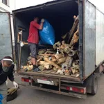 Владимир:  Вывоз Мусора