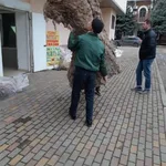 Илья:  Сборка мебели недорого
