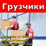 Алексей:  Грузчики