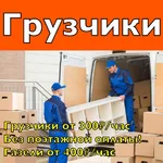 Алексей:  Услуги грузчиков 