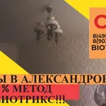biotriks:  Уничтожение клопов! – Быстрый выезд! метро Люблино