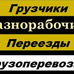 Кирилл:  Разнорабочие