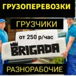 Андрей:  Грузоперевозки, грузчики, разнорабочие