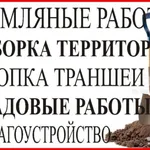 Михаил:  Расчистка, Уборка территорий. Спил деревьев. Демонтаж
