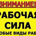 Константин:  ПОДСОБНИКИ- РАЗНОРАБОЧИЕ- ГРУЗЧИКИ- ТРАНСПОРТ