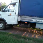Алексей:  Газель грузоперевозки