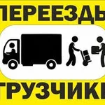 Илья:  Грузоперевозки, крепкие грузчики, вывоз мусора хлама