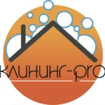 Андрей :  Клининг-Pro уборка помещений 24/7