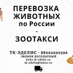 Ваш Логист:  Перевозка животных в Нижнем Новгороде