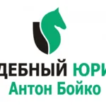 Антон Бойко:  Ведение гражданского дела в суде