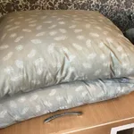 Виталий:  Химчистка подушек.