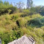Дмитрий Иванов:  Сделано! Выполнен покос травы для Анны и Андрея. 