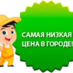 Дмитрий:  Квартирный переезд.Грузчики
