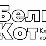 Александр:  Химчистка