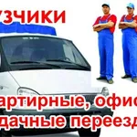 Ольга :  Услуги грузчиков. Переезды. Газель. Грузоперевозки.