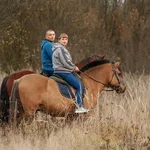 Ольга:  Верховая езда, конные прогулки