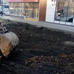 Александр:  Асфальтирование.Благоустройство.