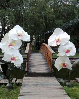 FlowArtica:  Большие ростовые цветы, Гигантские бумажные пионы