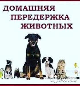 Корм для собак в воркуте