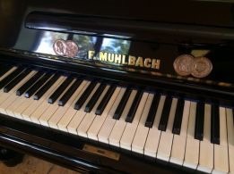 михаил:  Настройщик пианино в Калужской области