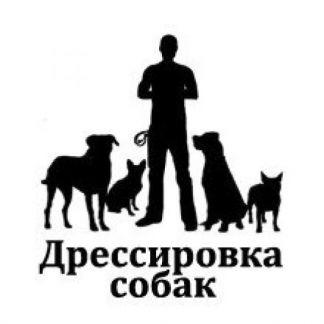 Никита :  Дрессировка собак в туношне