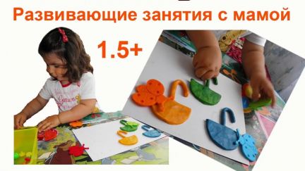 Центр развития ребенка в новоалтайске