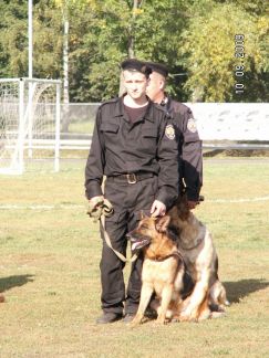 Дрессировщик собак всех пород