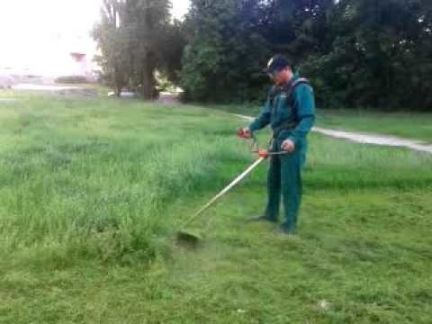 Сергей:  Покос травы, стрижка газона, уборка