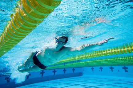 Дипломная работа: Спортивно-оздоровительное плавание