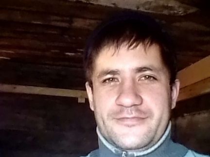 Построить дом в свободном