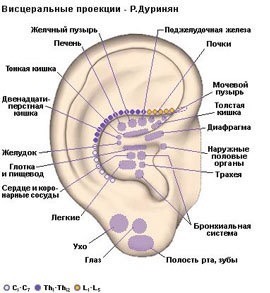 За сколько можно проколоть уши в казани